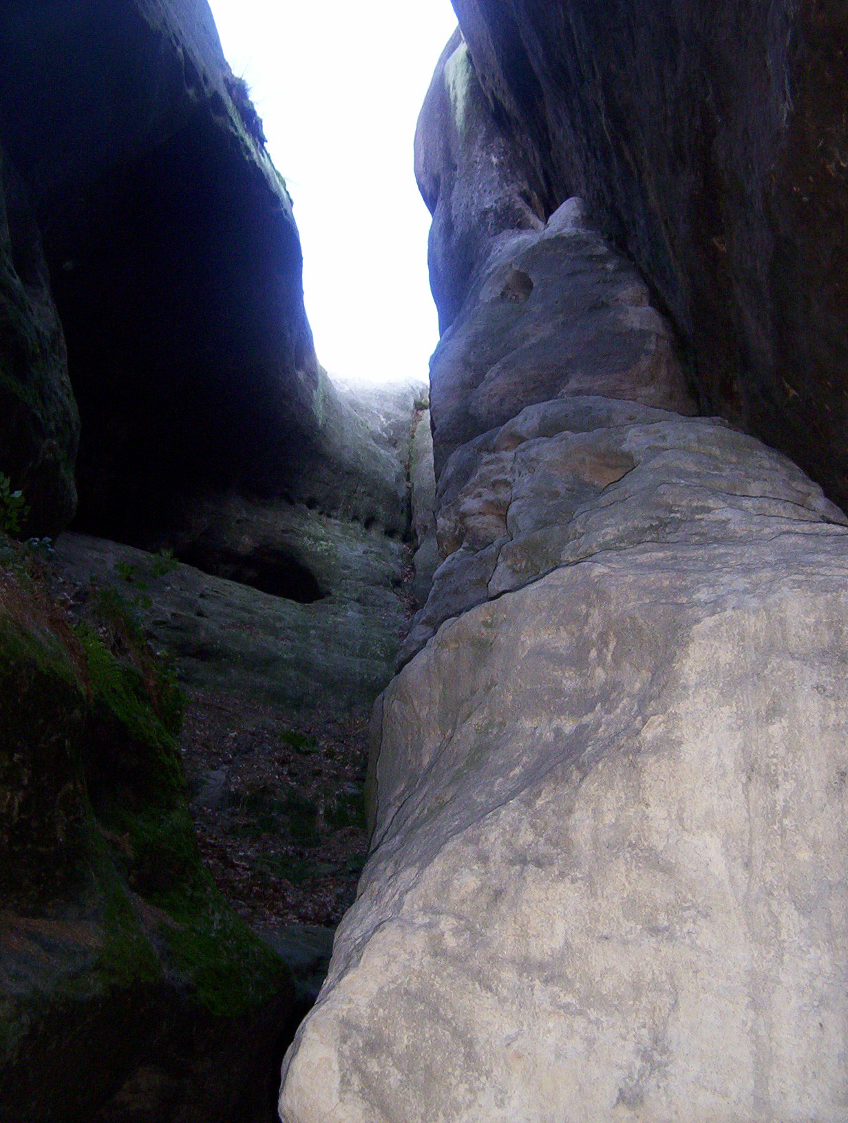 100_3567.JPG