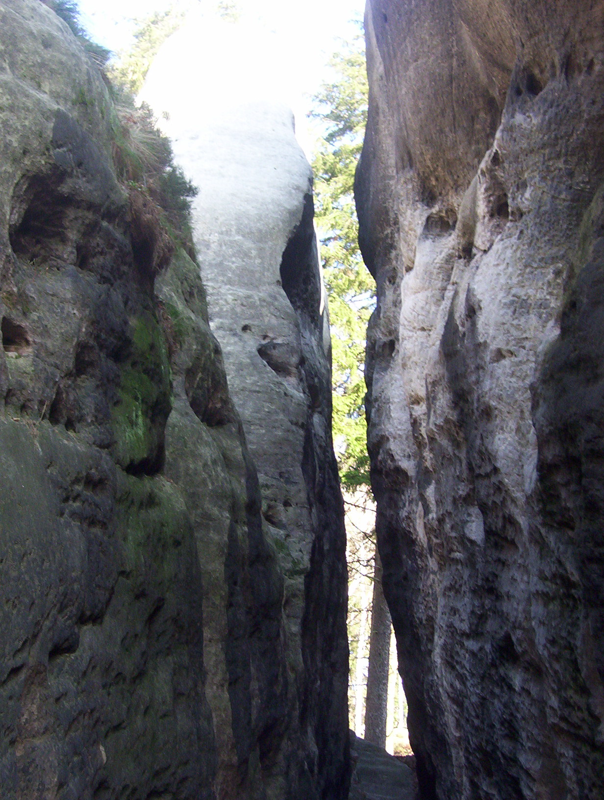 100_3569.JPG