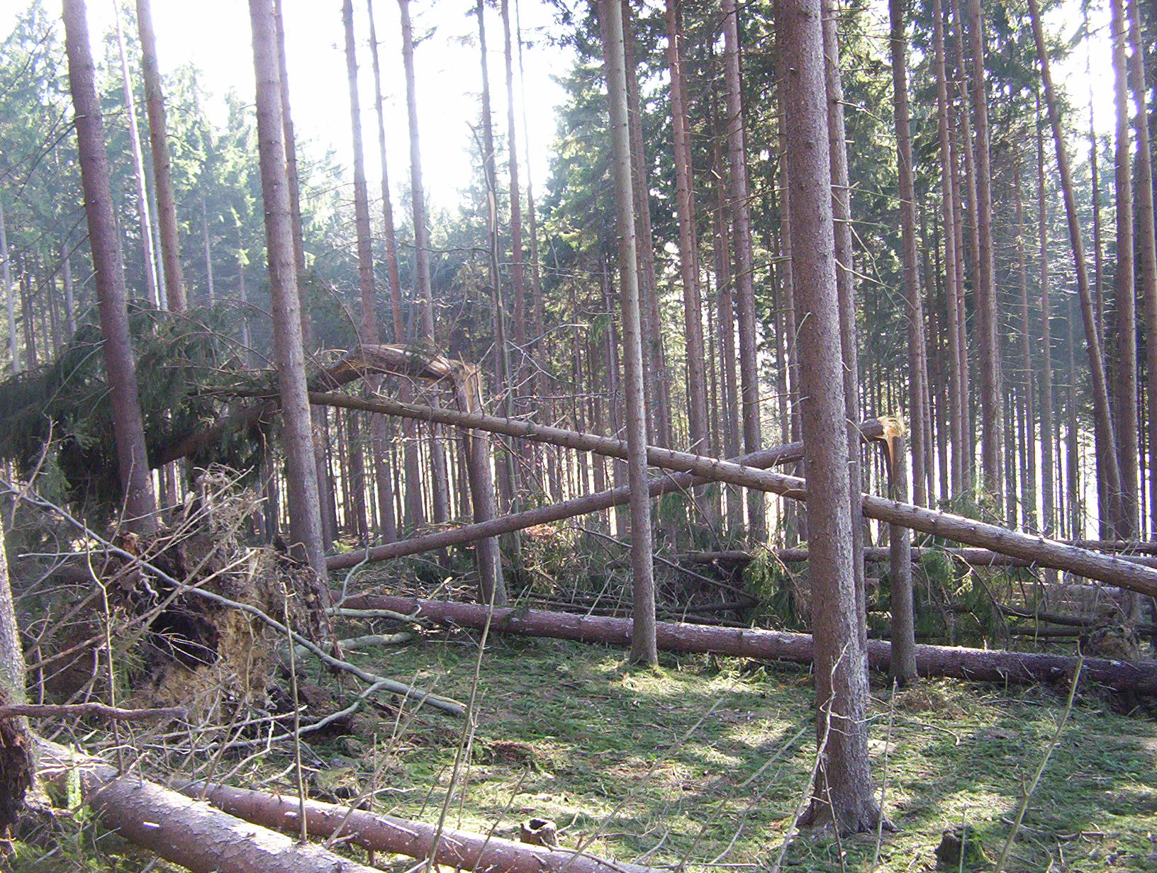 100_3579.JPG